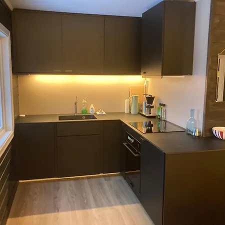 Apartment Alpintun Oppdal