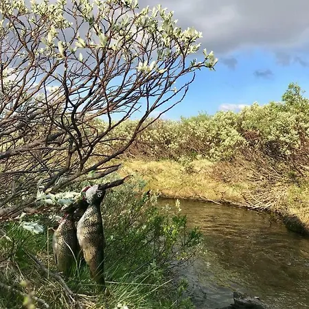 Alpintun 아파트 *