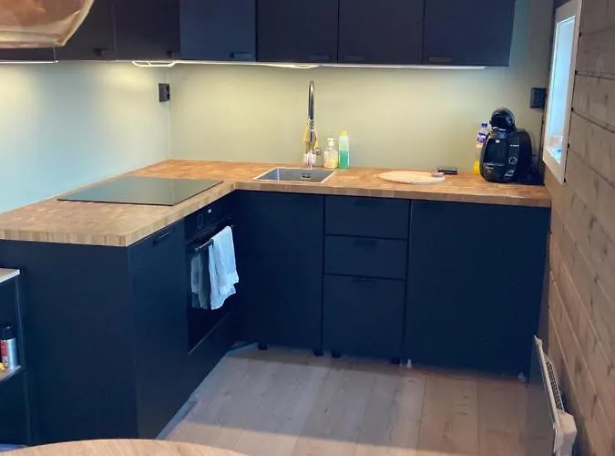 Alpintun Apartamento Oppdal